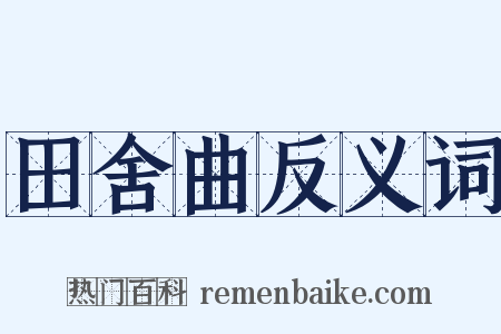 田舍曲反义词是什么意思的图片